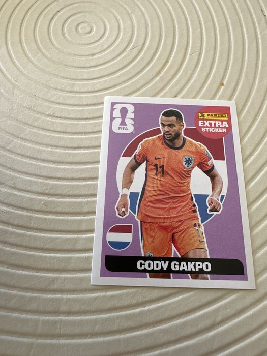 Cromo extra da colecao fifa world cup