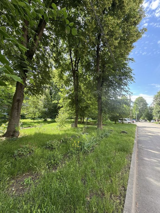 Продаж 1 к квартира Замостя, вул Максима Шимка , програми + - View 3
