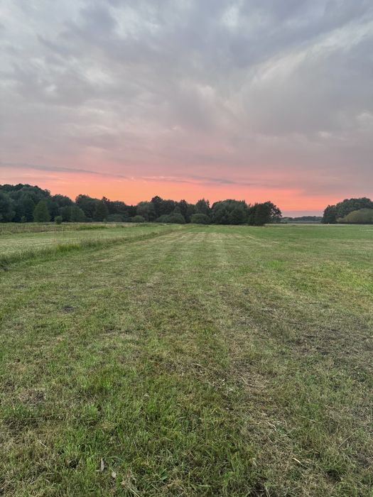 Dzialka rolna 0,59 ha Wilczkowice Dolne gm. Magnuszew - Widok 2