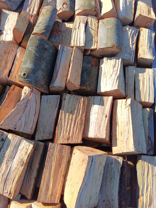 Buk. Drewno kominkowe. Opał. Możliwość transportu.