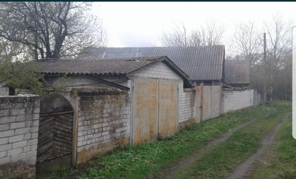 Продам дім /дачу/ в с.Ладинка Чернігівьська обл.,траса Київ-Черніг