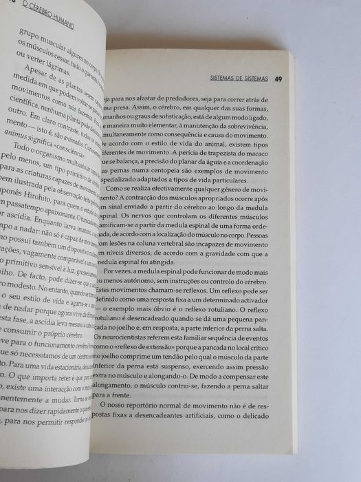 O Cérebo Humano - Susan A. Greenfield