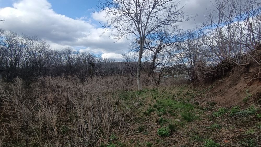 Продам земельну ділянку в Бабаях