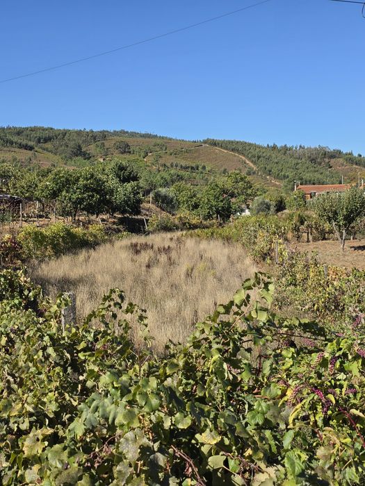 Terreno rústico Estreito vilar-barroco
