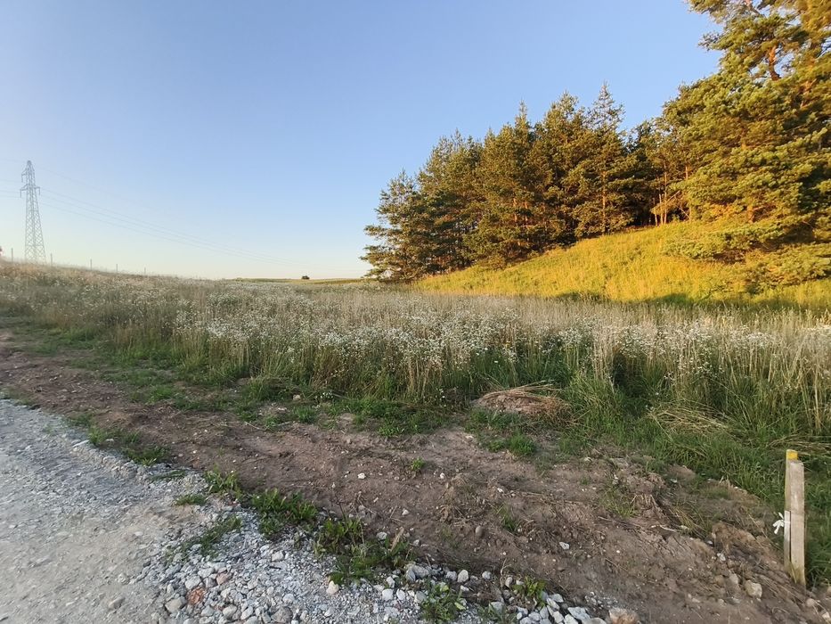 Działka budowlana Jonkowo/Olsztyn 4495 m² - Widok 2