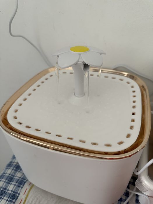 Fonte de agua para cão/gato