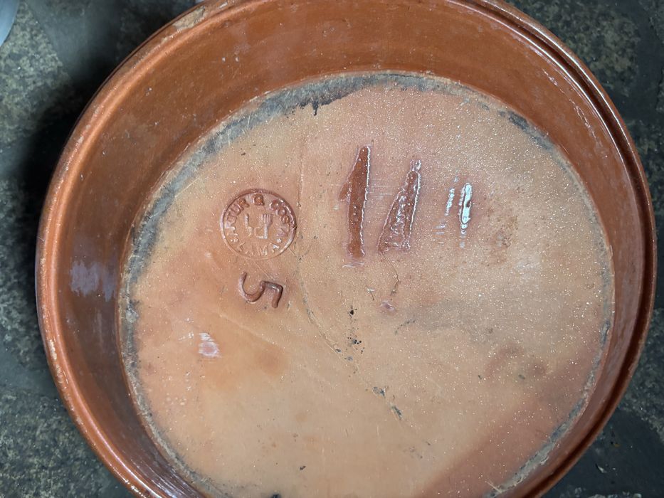 Loica de barro vermelha