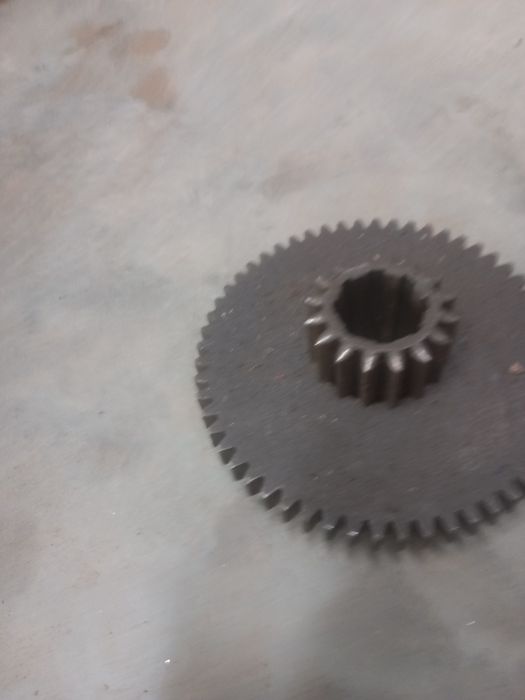 Koło wrzeciennika tuj