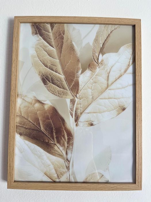 3 quadros 40x50 .  15€