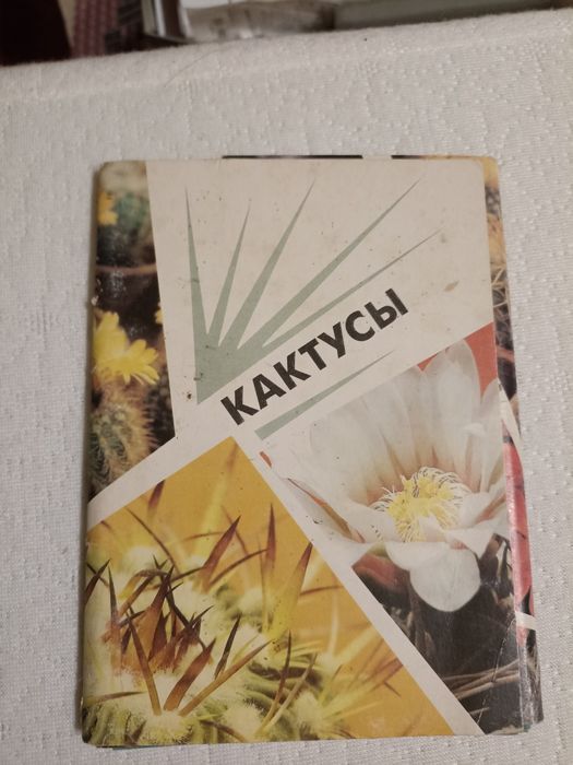 2 набори откриток(кактуси,их нужно спасти)