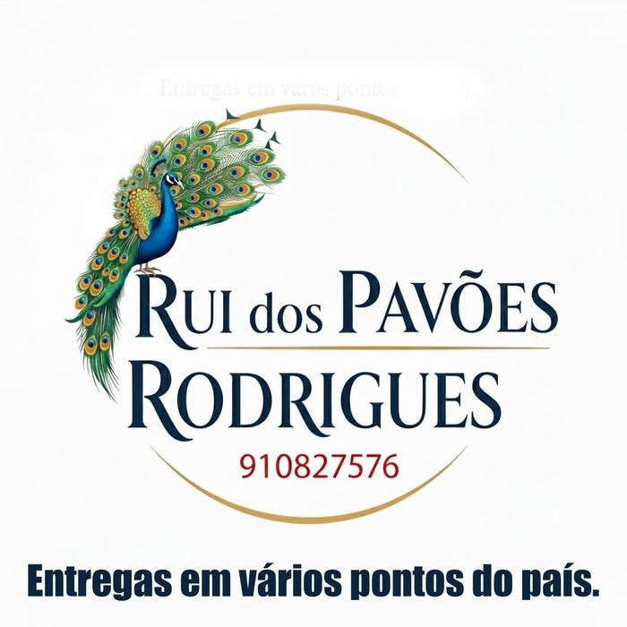 Pavoes brancos e azuis de  ,casais a bom preco