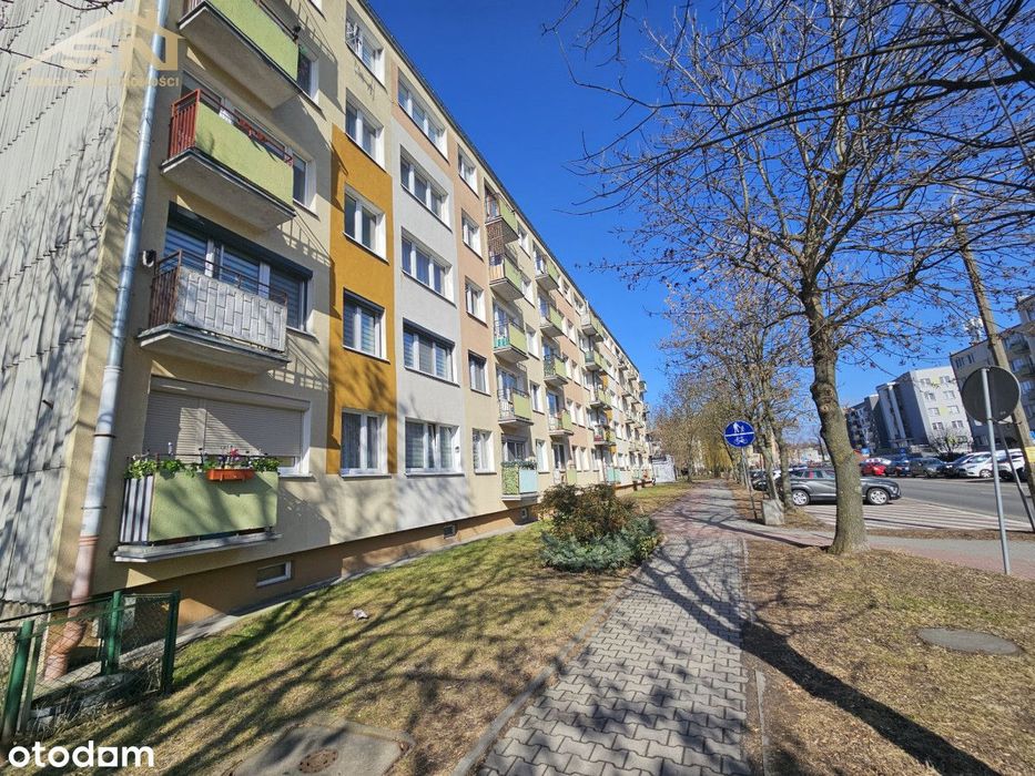 2 pokoje, na II piętrze, ul. Krzywoustego