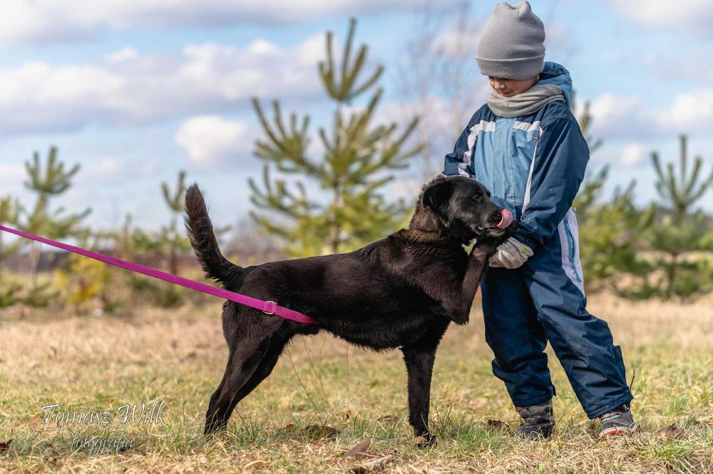 Aktywny zapatrzony w człowieka Hilary
