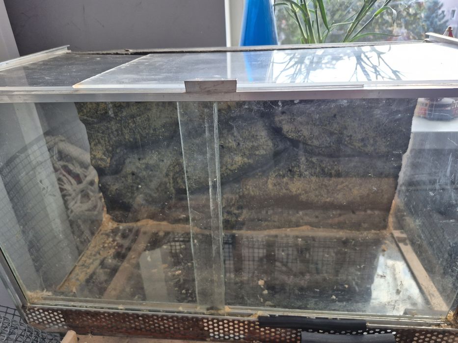 Terrarium dla jeża gekona chomika