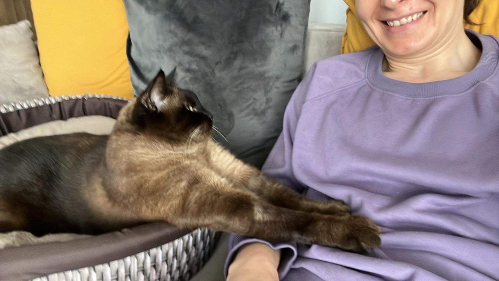 Catsitter-Opieka nad kotem - Wawer i okolice