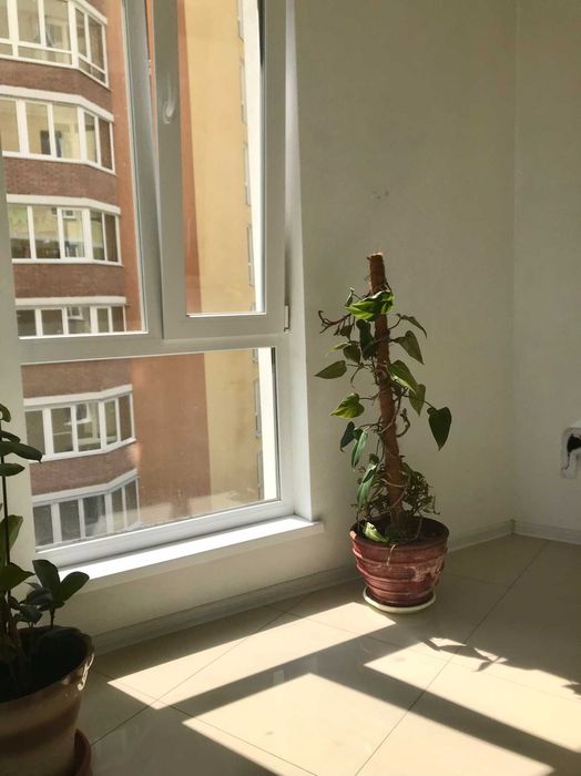 Подобово. Посуточно. Недалеко озеро. Центр, нова 3 кімн квартири.