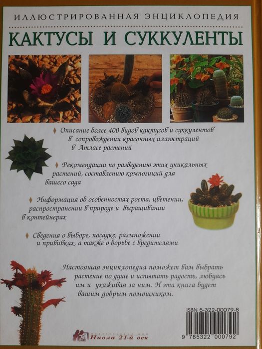 Кактусы и суккуленты Майлс Андерсон