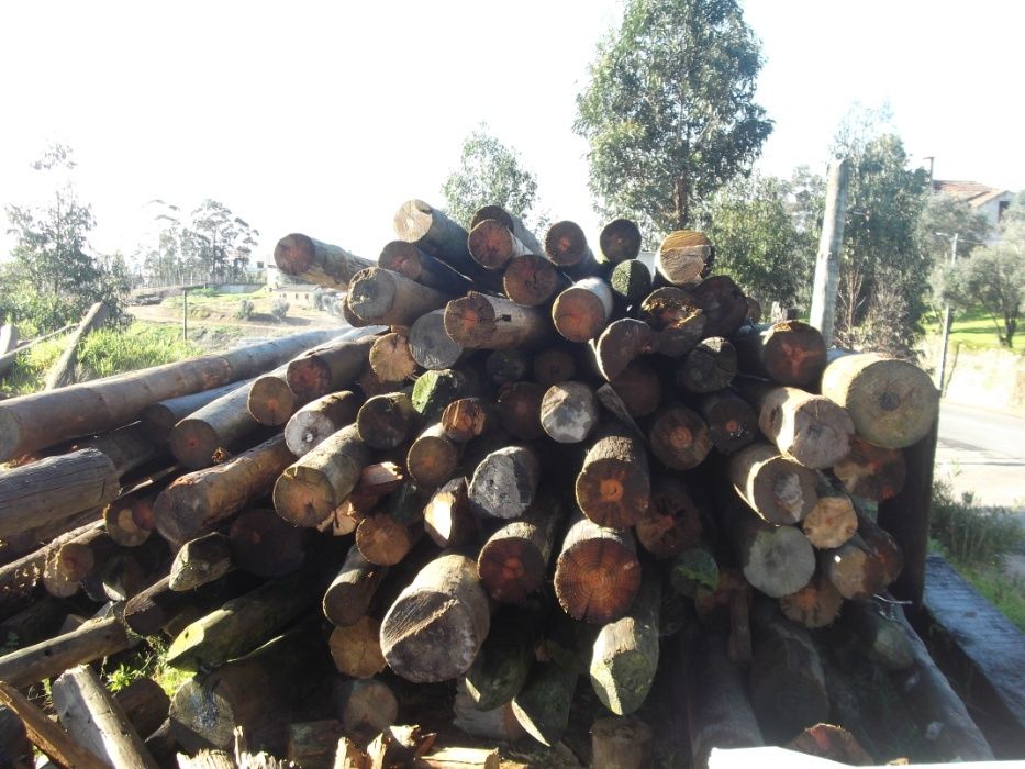 Postes de Madeira64186448942339122