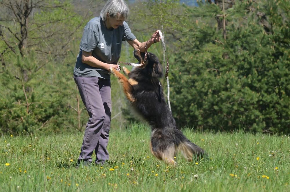 Mati- do adopcji