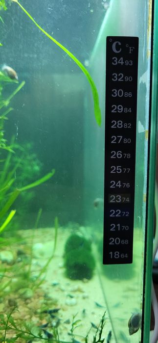 Термометр акваріумний