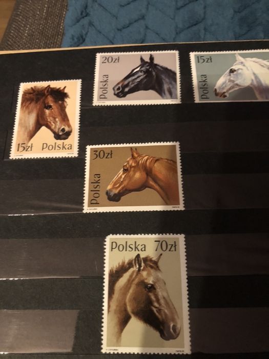 Znaczki pocztowe niestemplowane konie