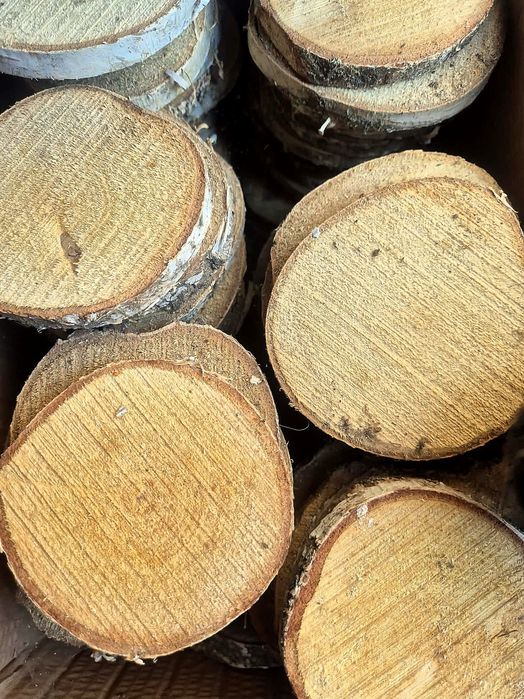 Plastry drewna brzoza krążki drewniane stroik winietki ślub podstawka