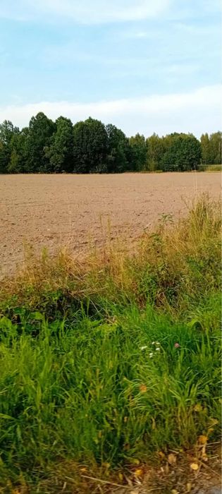 Sprzedam ziemie 9200m2