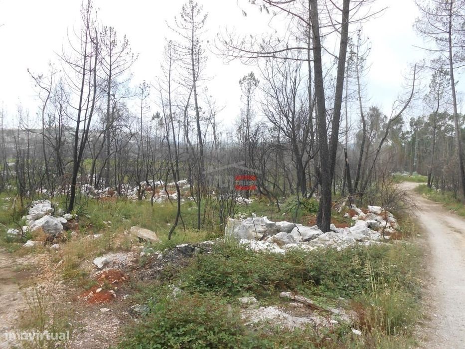 Terreno — Fátima, Santarém