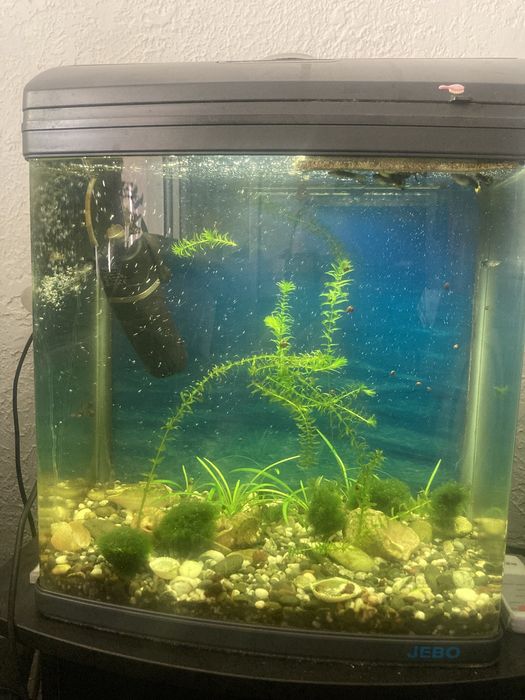 Продам Аквариум JEBO R 338