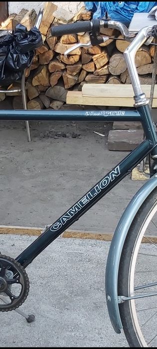 Rower Męski Camelion Avantgarde