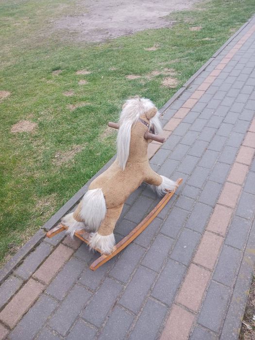 Konik na biegunach