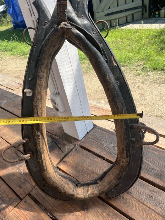 2 Homonta  dla konia