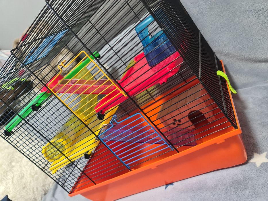 Клітка для хом'яка чи дрібних гризунів