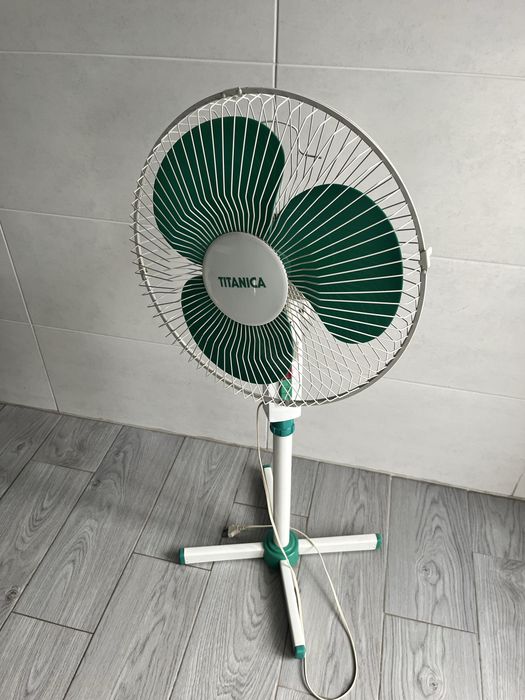 Ventoinha titanica