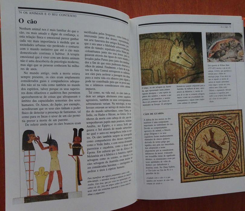 Os Espíritos Animais (Sacrifício, Ritual e Mito de Diversas Culturas e Épocas)