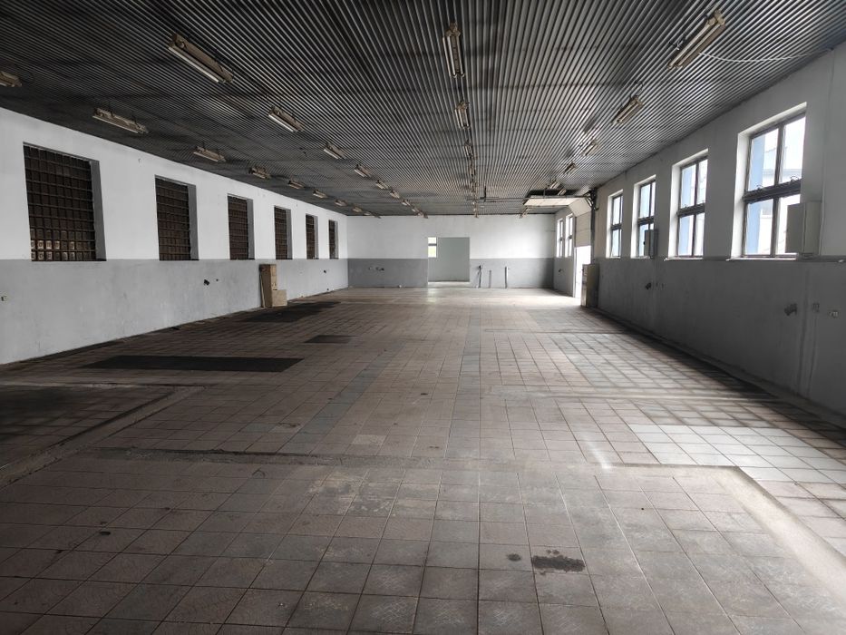 Na wynajem hala 500m2