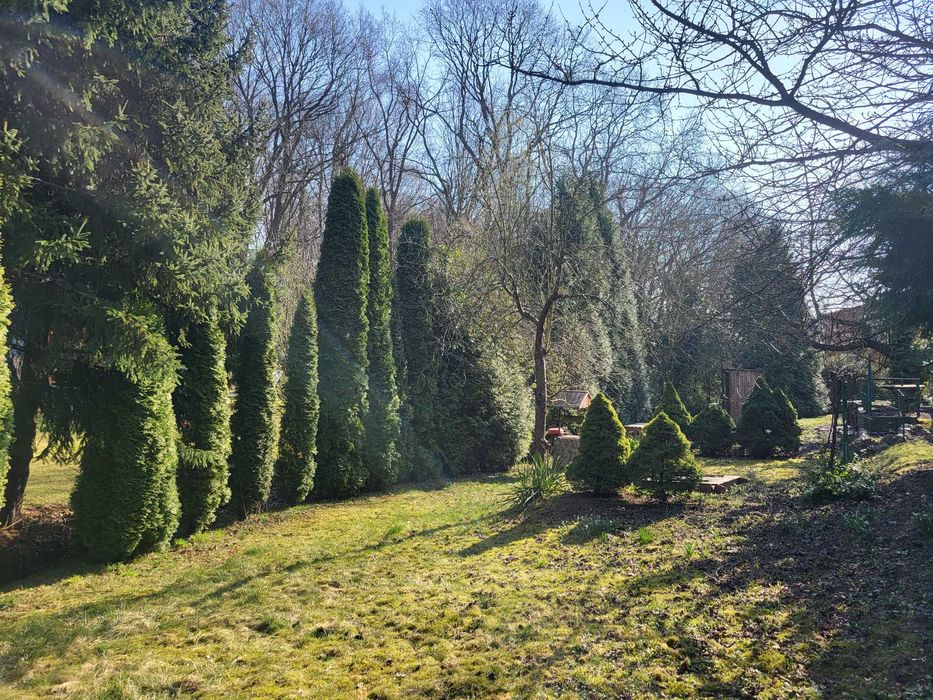 Przestronny ogródek działkowy ROD 625 m², z domkiem i przyłączami