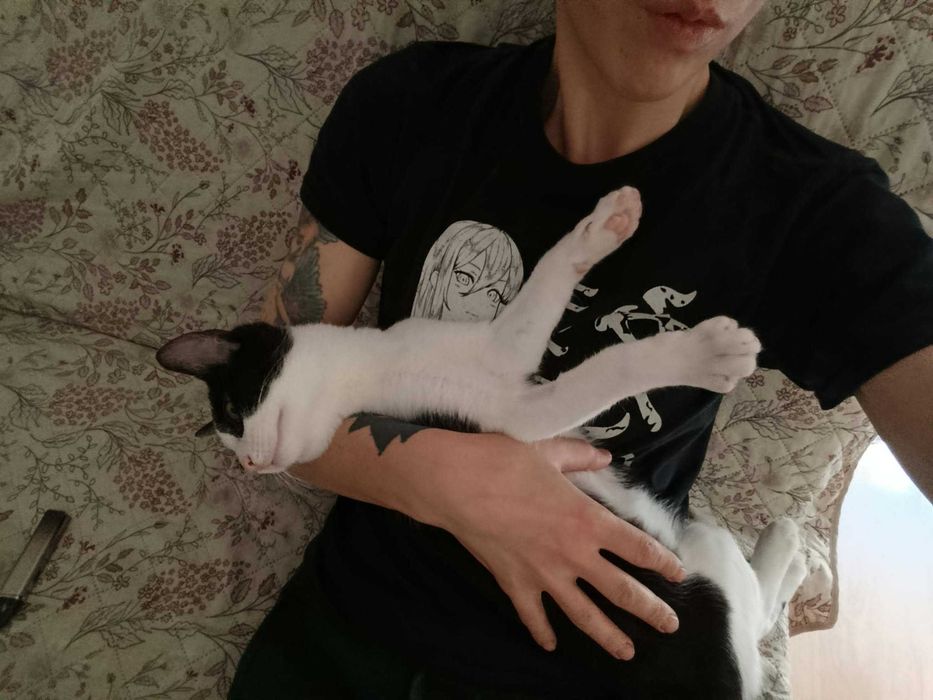 Niko: mały skarb, który roztopi każde serce. Gotowy do adopcji!