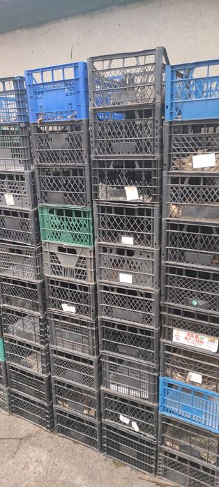 Продам пластикові ящики для фруктів .