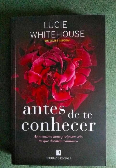 Antes de Te Conhecer de Lucie Whitehouse NOVO