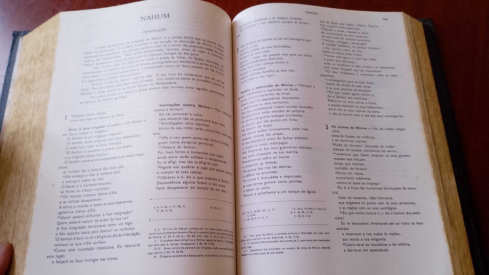 Bíblia Sagrada Nova Edição Papal