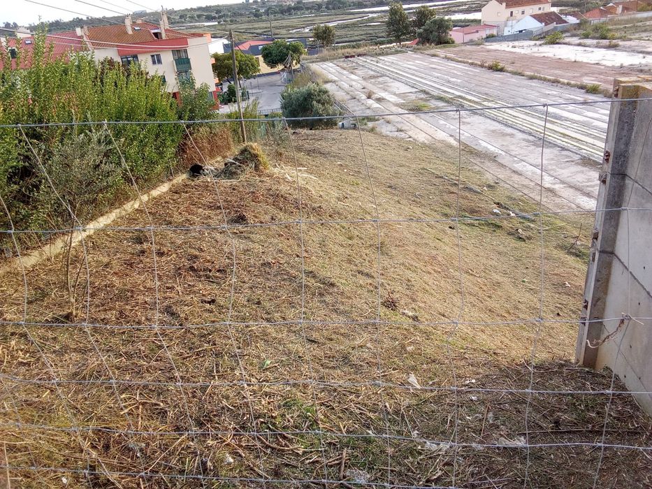 Limpeza e desmatação de terrenos na zona grande lisboa e margem sul