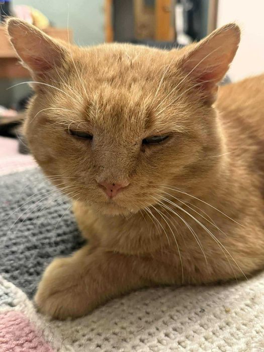 Rudolf – 9-letni dżentelmen, który wciąż wierzy w ludzi