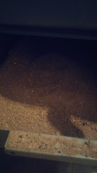 Pellet A1 A2  Drzewny  6mm 8mm  igla  pelet  Alan