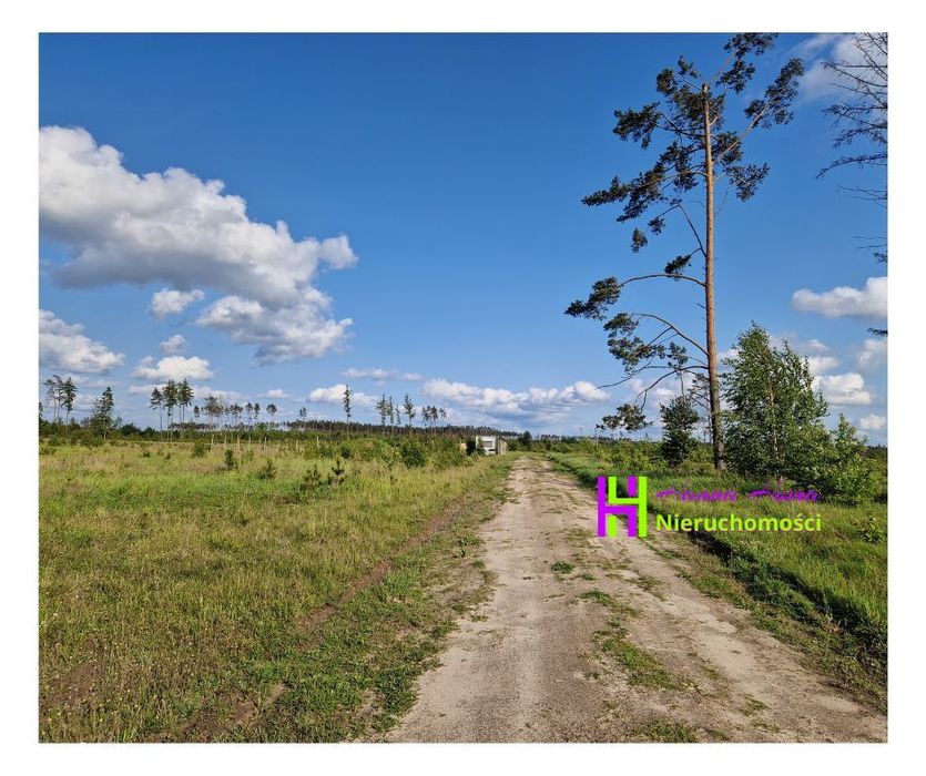 Zapach lasu tuż za płotem - działka w Rytlu NA SPRZEDAŻ