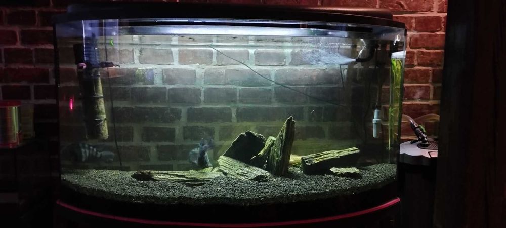 Akwarium Panoramiczne 304L z podstawą, pokrywą i osprzętem.