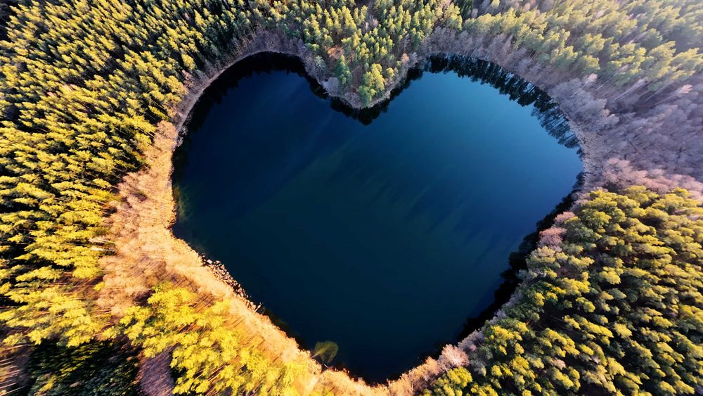 Usługi z Drona: Inspekcje, Działki i Dynamiczne Wideo