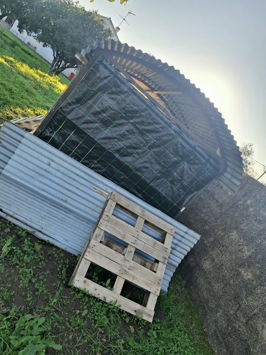 Abrigo, arrumos, Canil