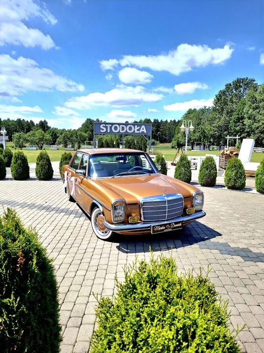 Auto do ślubu - Złoty Mercedes W115