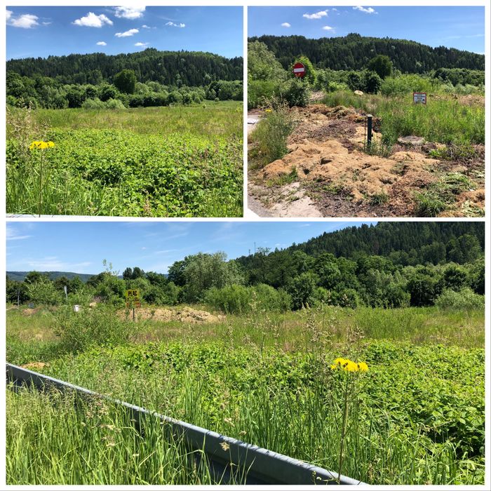 Wynajem działki Białka powiat Suski